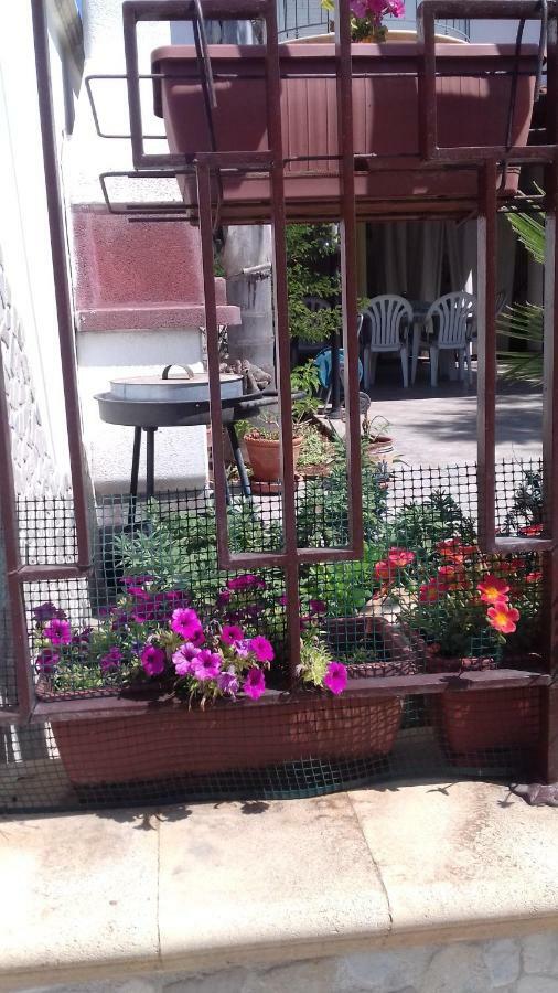 Villetta Il Pino Sant Isidoro  Εξωτερικό φωτογραφία